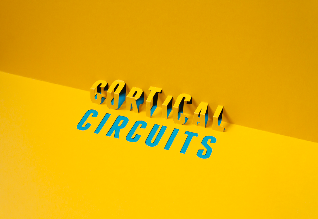 Design dos separadores, onde a arte do recorte de papel é usada para ilustrar metaforicamente os circuitos de investigação em neurociência.