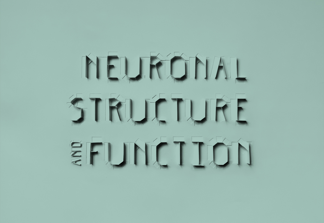 Criação visual em recorte de papel para separadores, simbolizando os comportamentos e as diferentes áreas de investigação da neurociência.