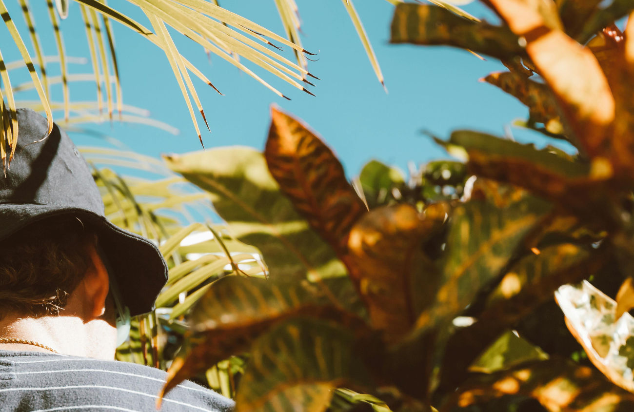 Um primeiro plano de plantas com uma pessoa no meio, com o crescimento e a beleza a representar o impacto significativo de um projeto.