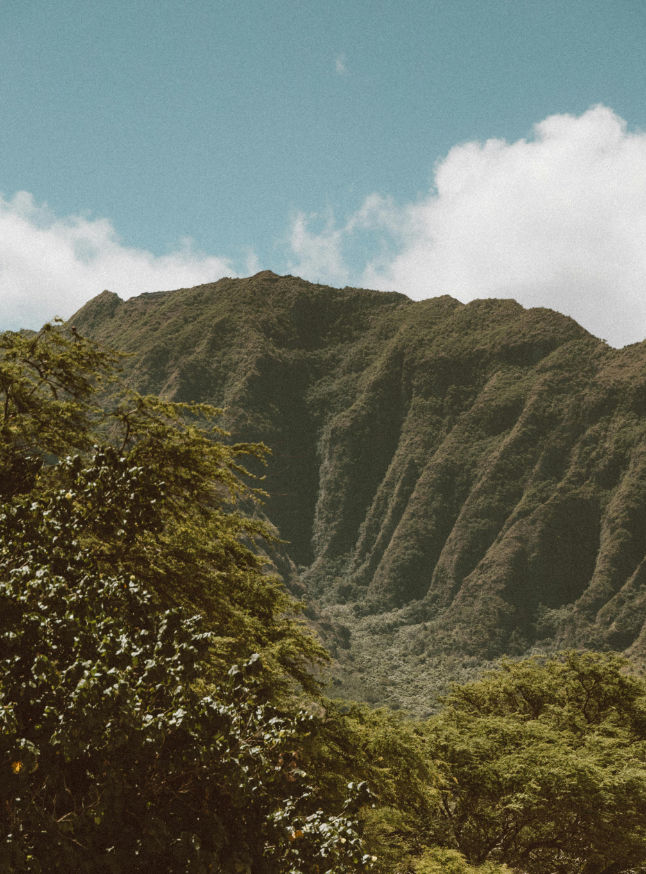 Uma paisagem de montanha, com a sua perspetiva elevada a simbolizar a criatividade estratégica.
