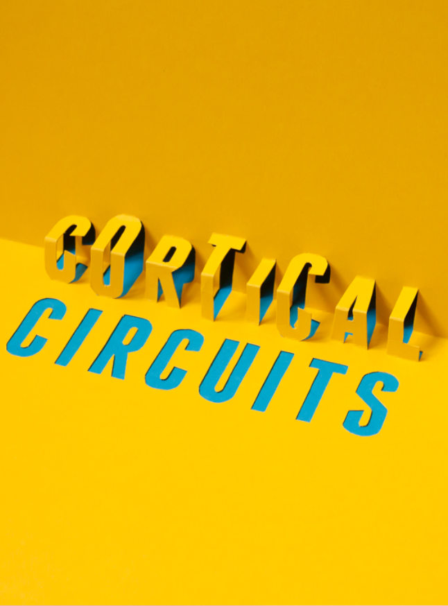 Pormenor de um trabalho manual artesanal aplicado a um livro de ciência, simbolizando o rigor do processo de design e a elegância do objeto final.