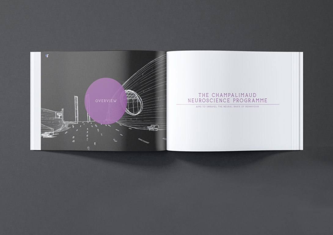 Livro aberto numa dupla de páginas, evidenciando o design interior, que é coerente com a estética manual das ilustrações a lápis e giz do projeto.