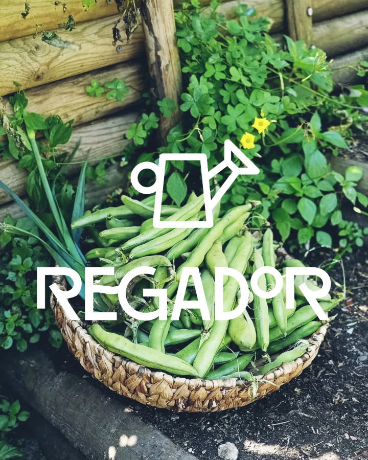 Detalhe do logotipo da Associação Regador, aplicado num ambiente de horta urbana/espaço verde.