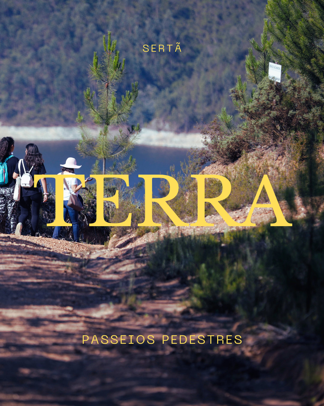 Uma imagem que representa a “terra”, com um design que evoca a tradição, as raízes e a história do festival