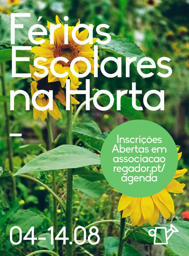 Design de conteúdos digitais para a Associação Regador, mantendo a coerência estética entre o website e as redes sociais.